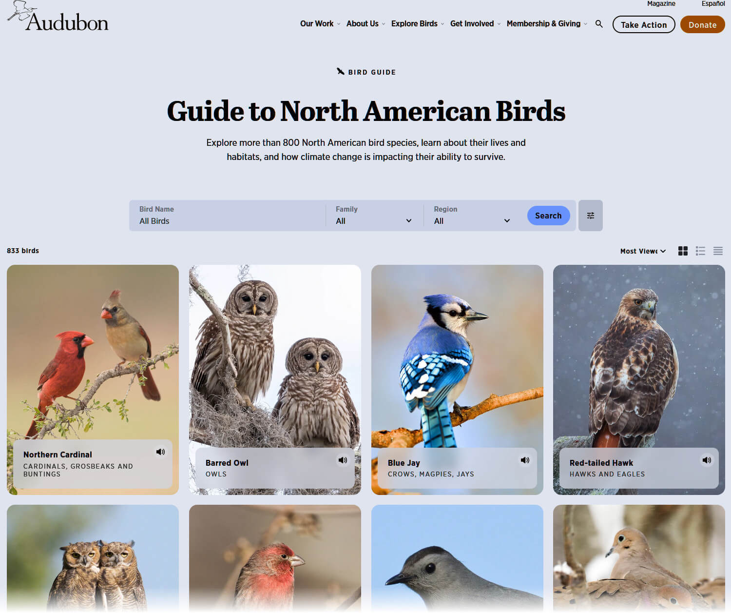 Web section from Audubon Bird Guide with photos of eight bird species and user interface elements for navigation.