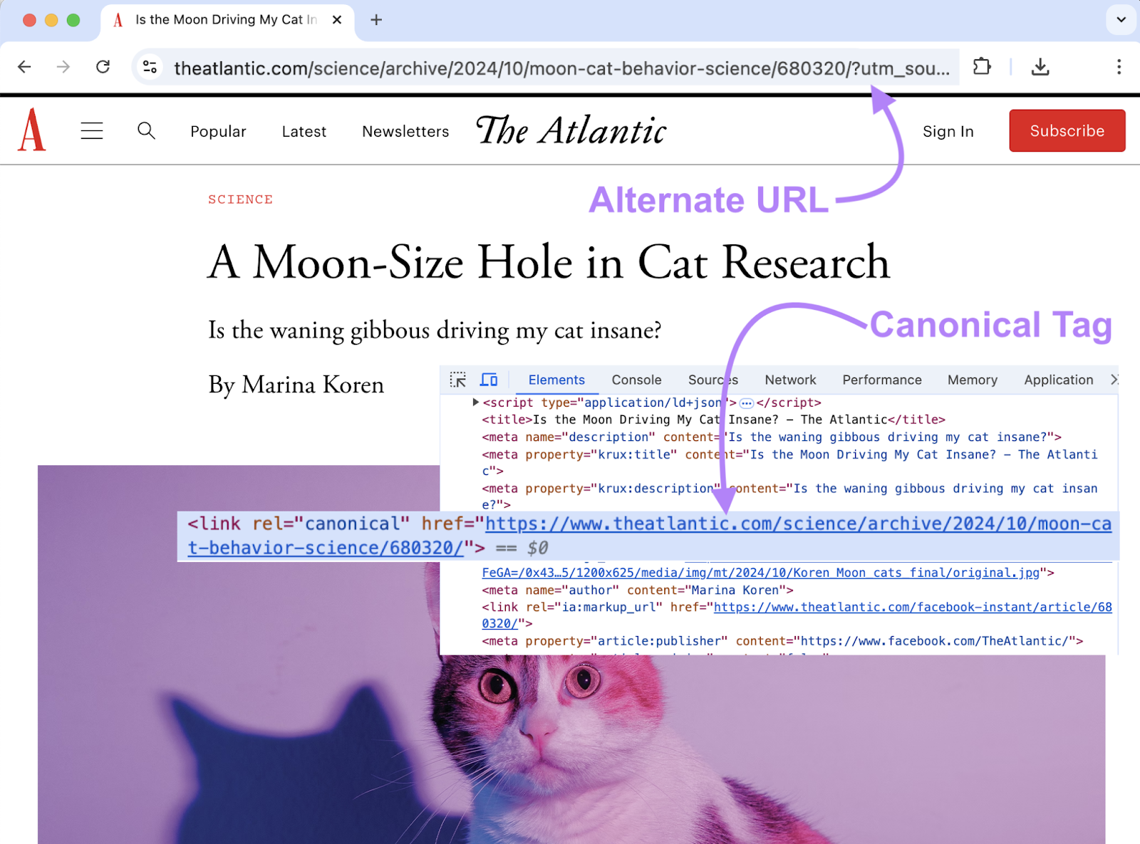 Alternate URL is highlighted in the search bar while the canonical tag is highlighted in the code for the same webpage.