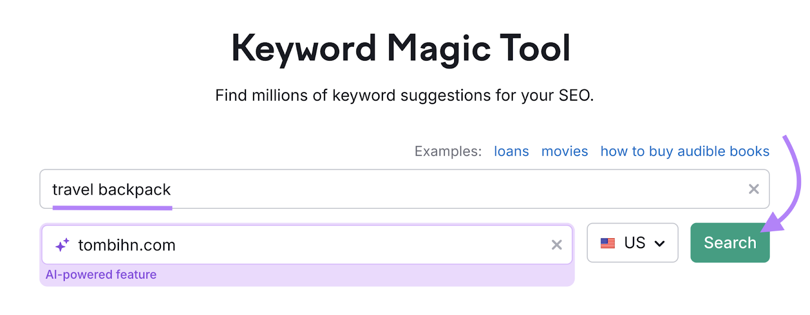 search term and domain entered into tool