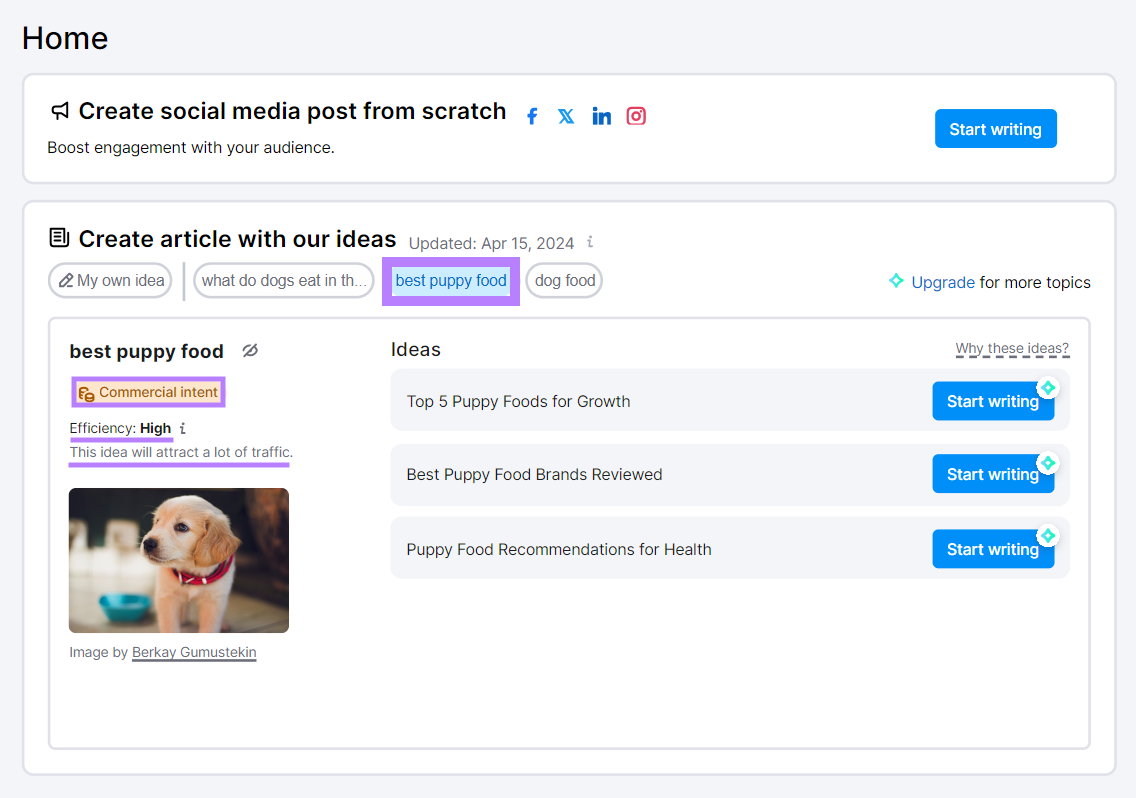 Content Shake AI tool displaying the search intent, efficiency and traffic details for the keyword 'best puppy food'