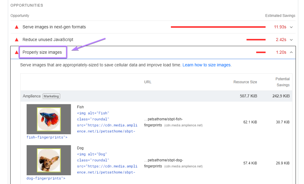 Sección "Diagnosticar problemas de rendimiento" de la herramienta PageSpeed Insights