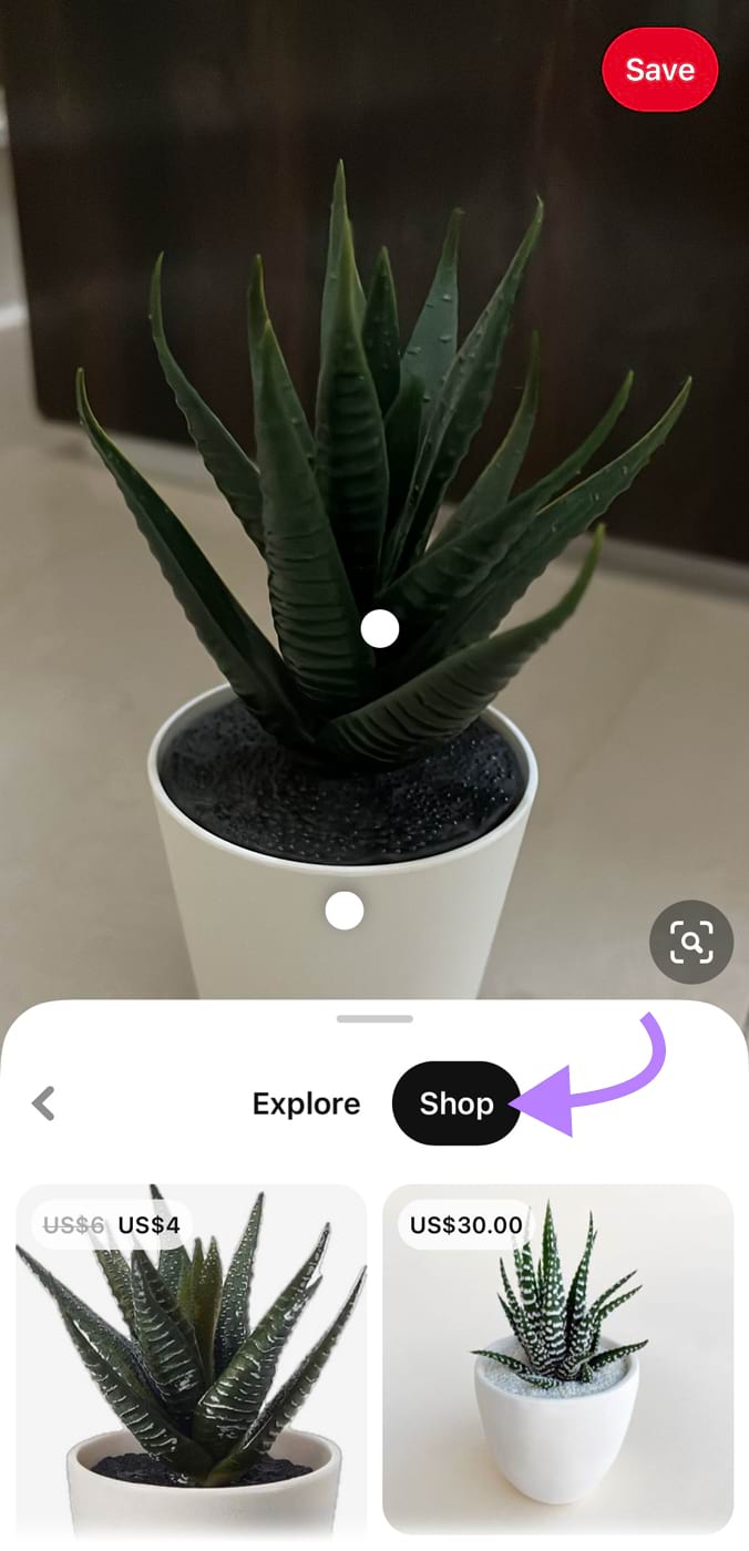 An image of a plant uploaded to Pinterest Lens, showing product results in the "Shop" section