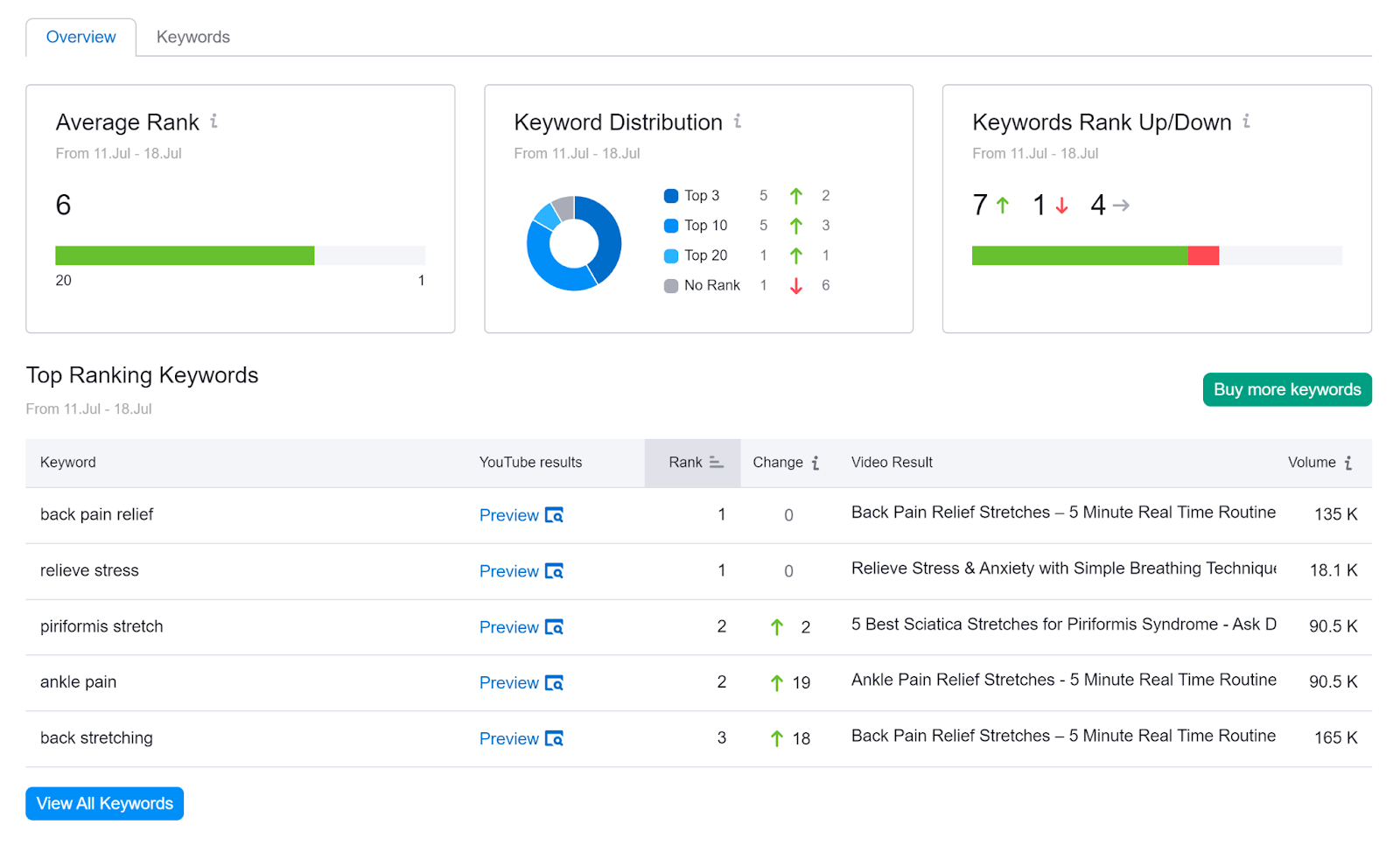 Overview tab showing transmission  keyword metrics similar  Average Rank, Keyword Distribution, and Top Ranking Keywords