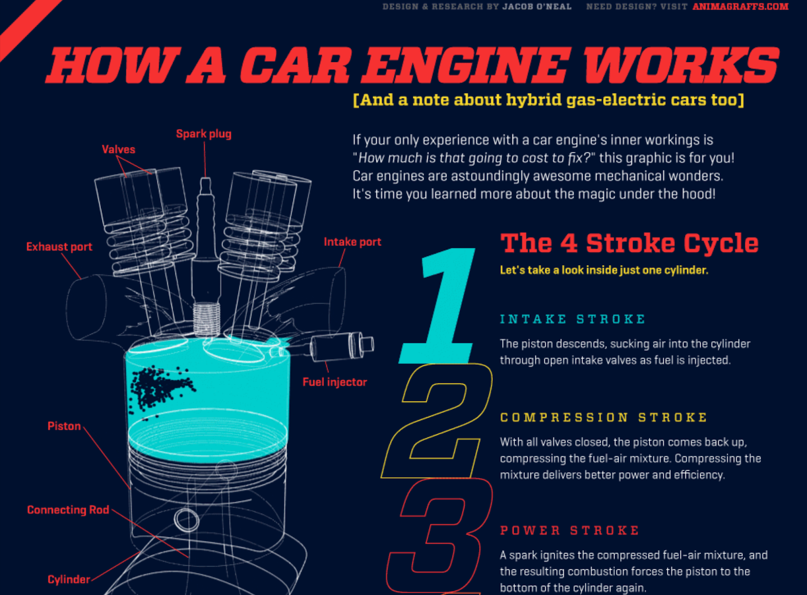 animagraffs.com infographic