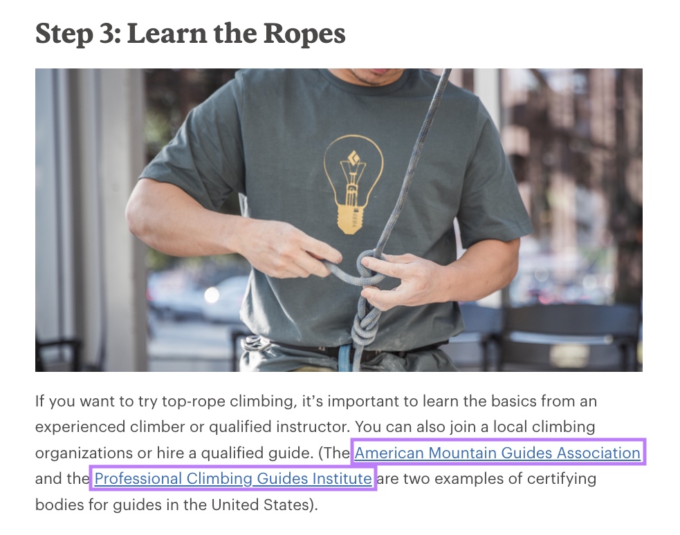 External links highlighted under REI's "Step 3: Learn the Ropes" section of the guide