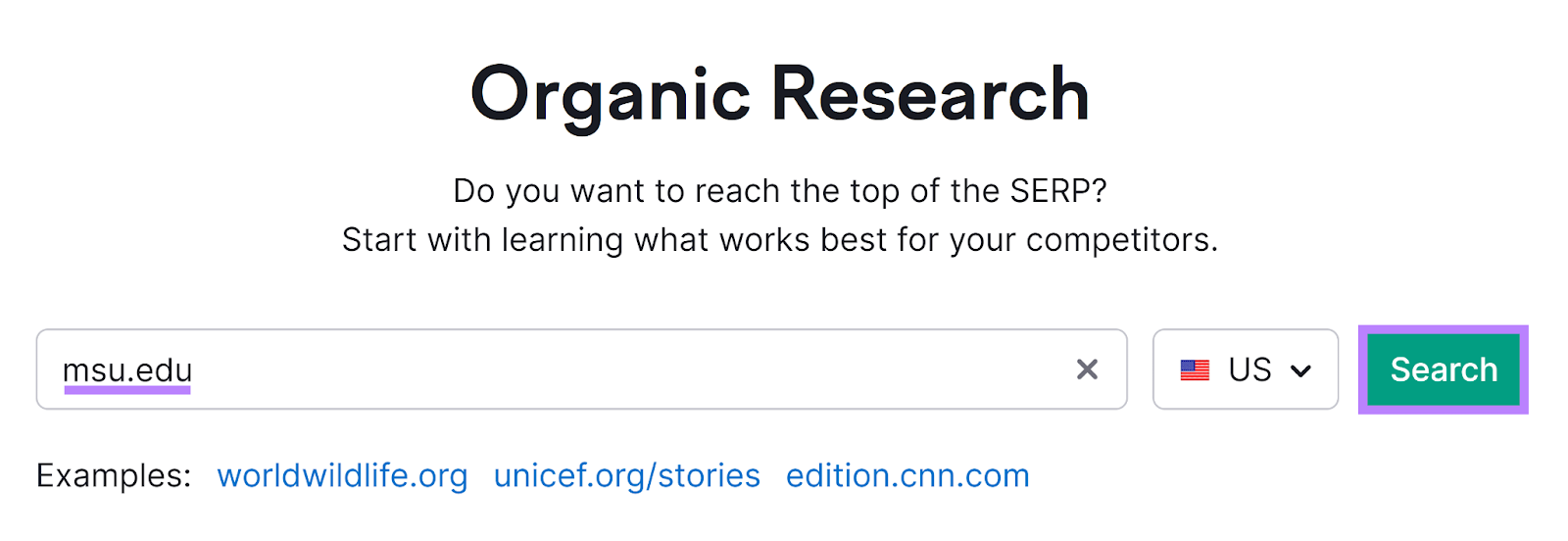 Organic Research tool start with domain entered and Search button highlighted.