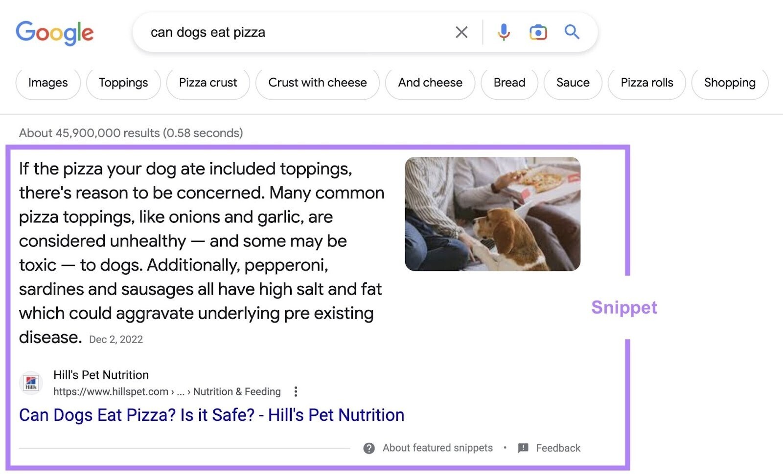 Google snippet from Hill’s Pet Nutrition article on "Can Dogs Eat Pizza? Is it Safe?"