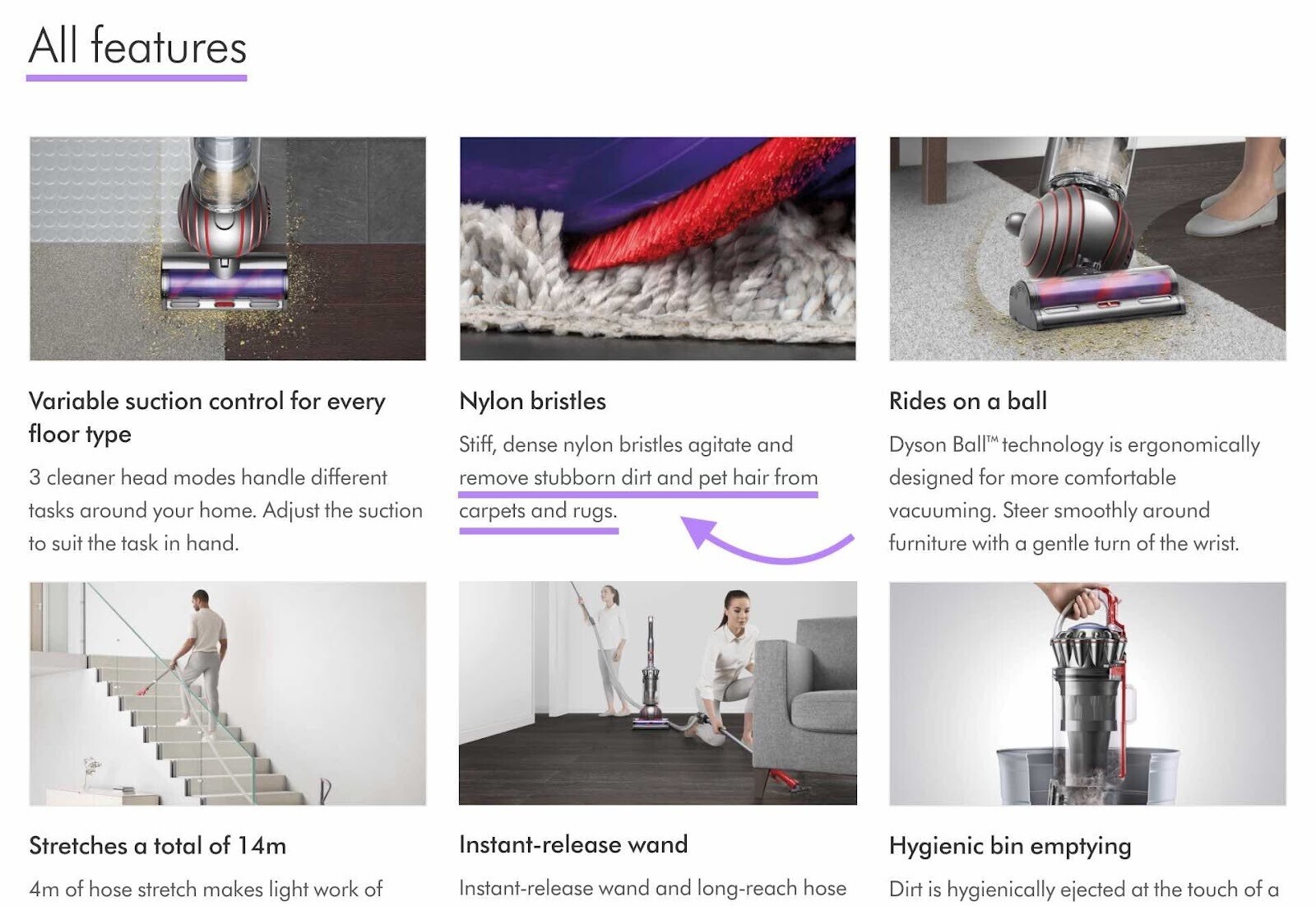 an example of Dyson vacuum cleaner product description: "Stiff, dense nylon bristles agitate and remove stubborn dirt and pet hair from carpets and rugs.”