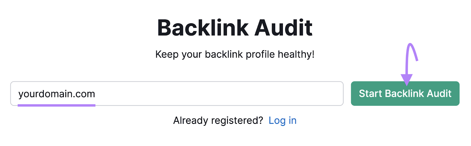Backlink Audit tool search bar