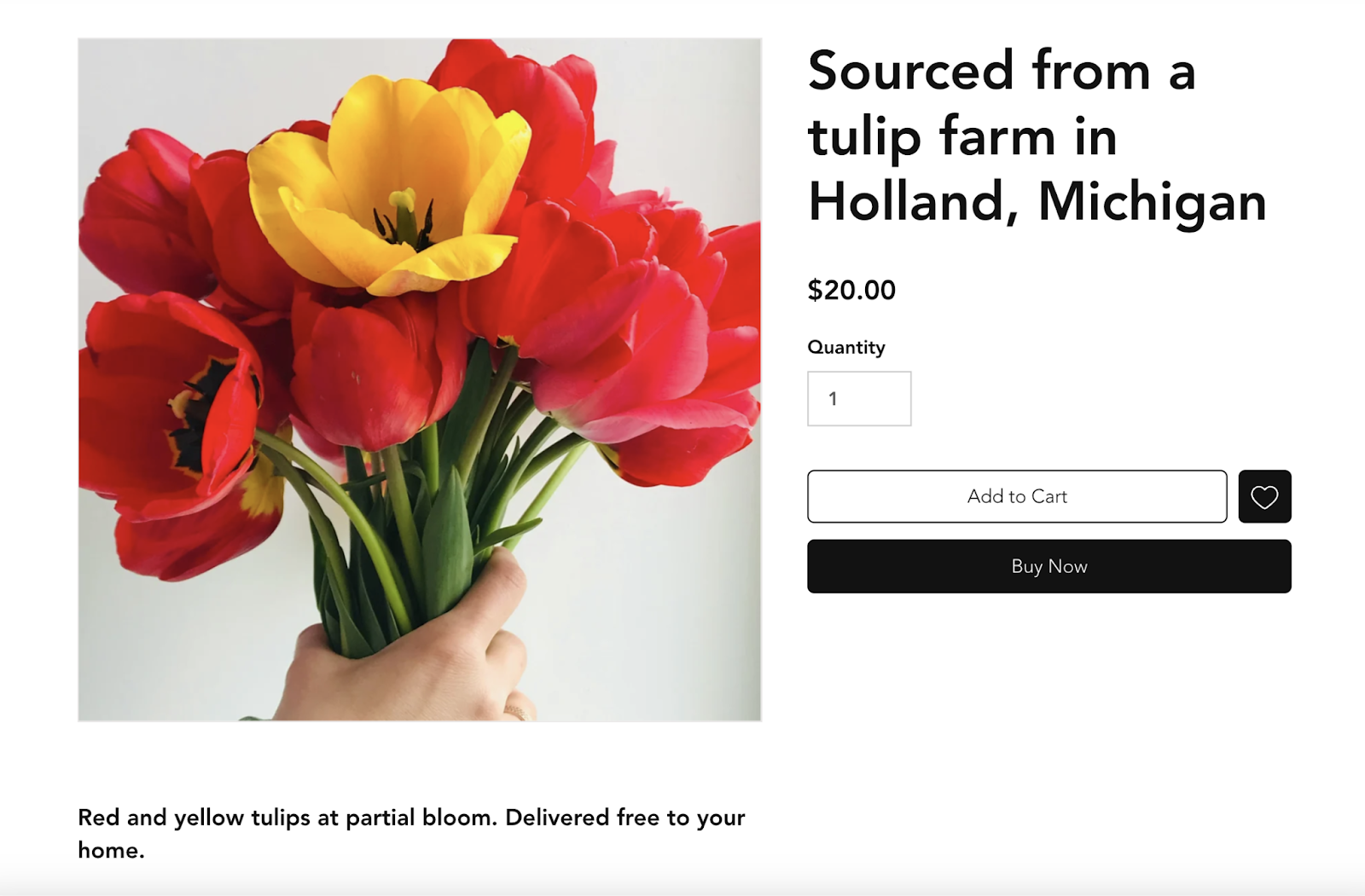 product leafage   says "sourced from a tulip workplace  successful  Holland, Michigan" successful  an H2