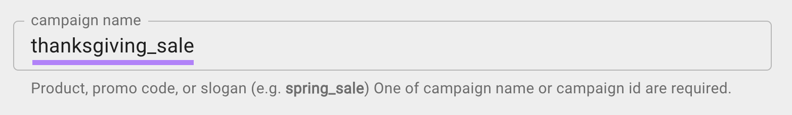 "thanksgiving_sale" entered under "campaign name" field