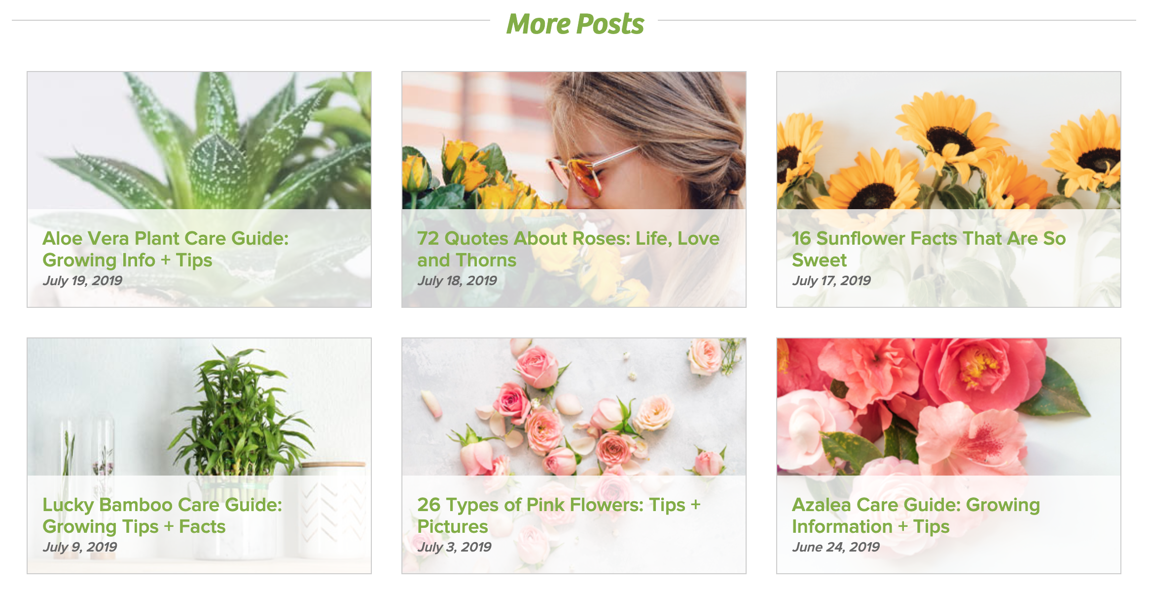 Le blog de ProFlowers.com