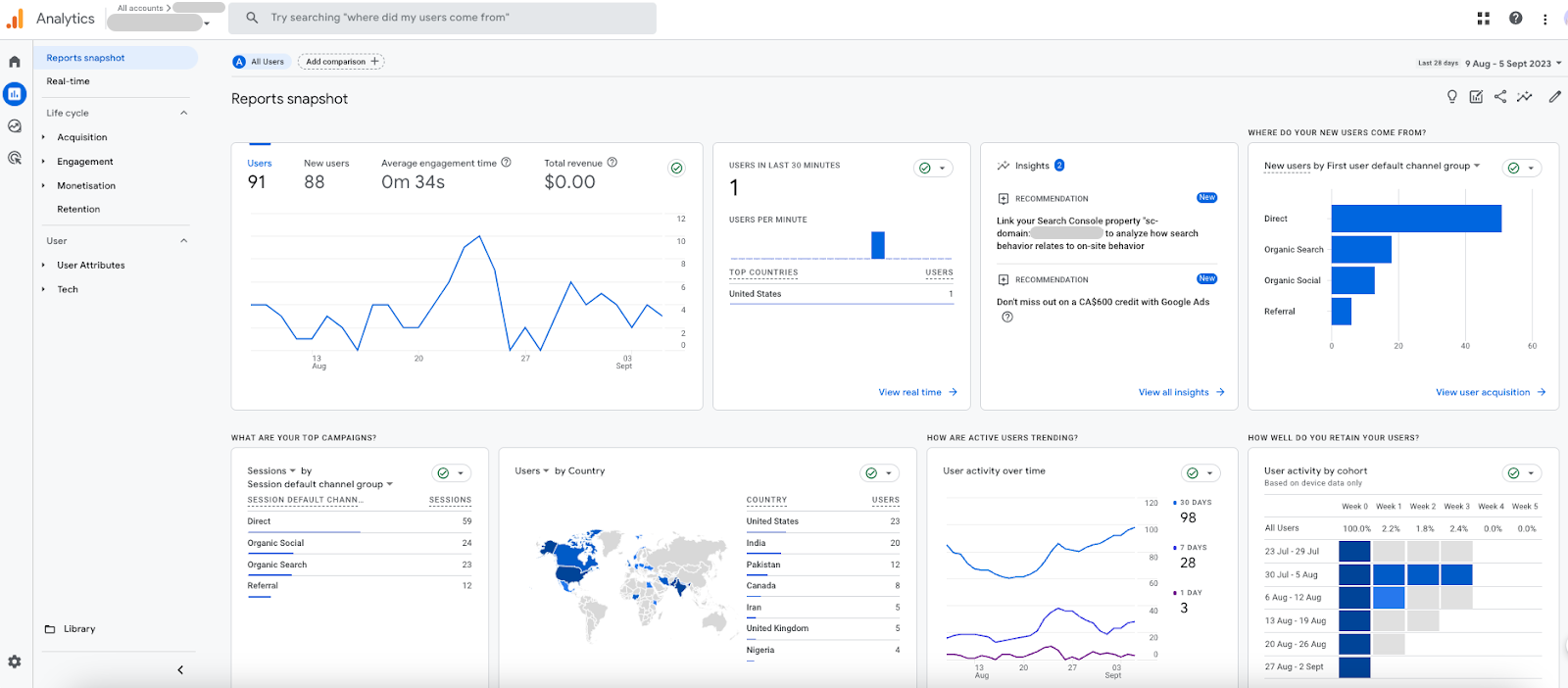 Google Analytics's main dashboard