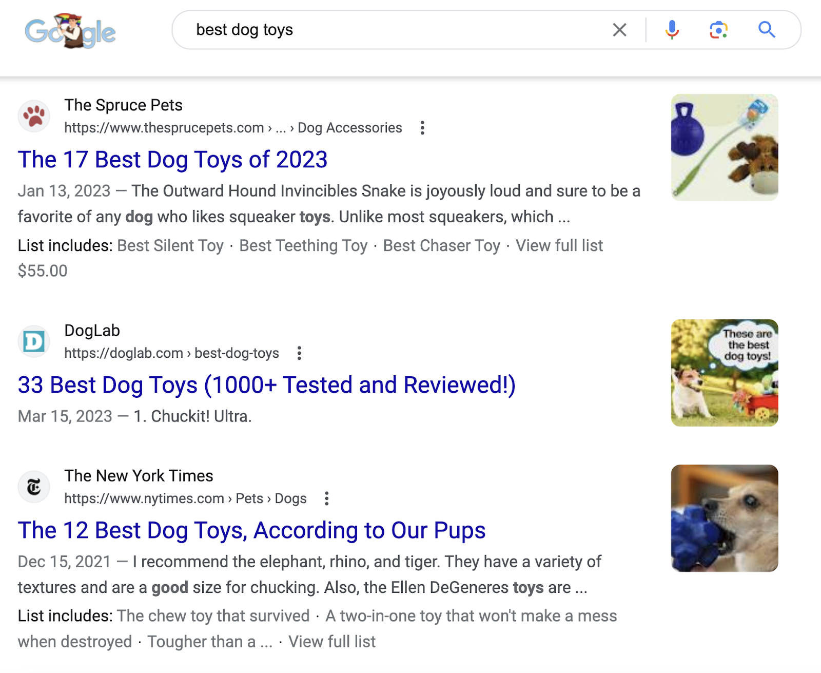 Google search results for “best dog toys”