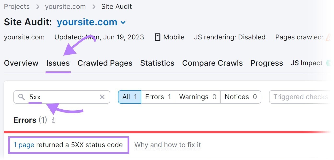 “Issues” tab with “5xx” in the search bar