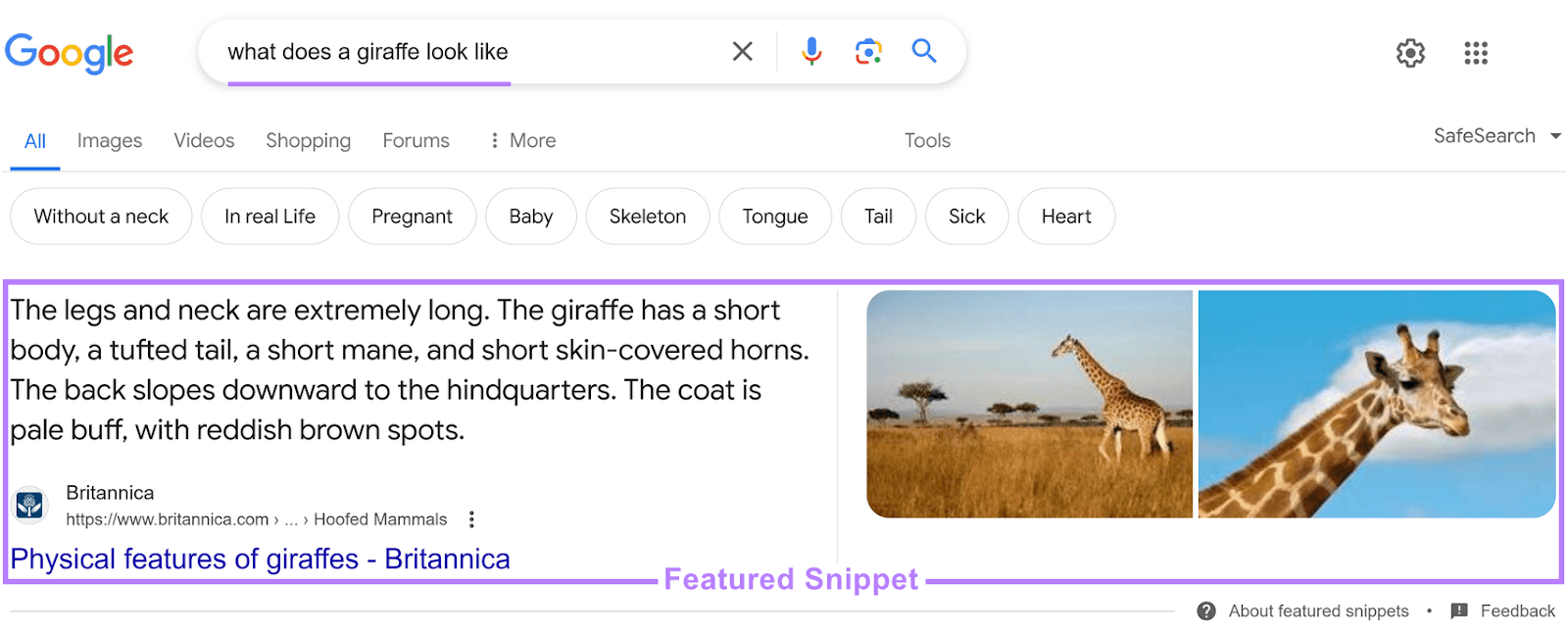 Google SERP for "what does a giraffe look like," showing a featured snippet with a short paragraph, link, title, and images.
