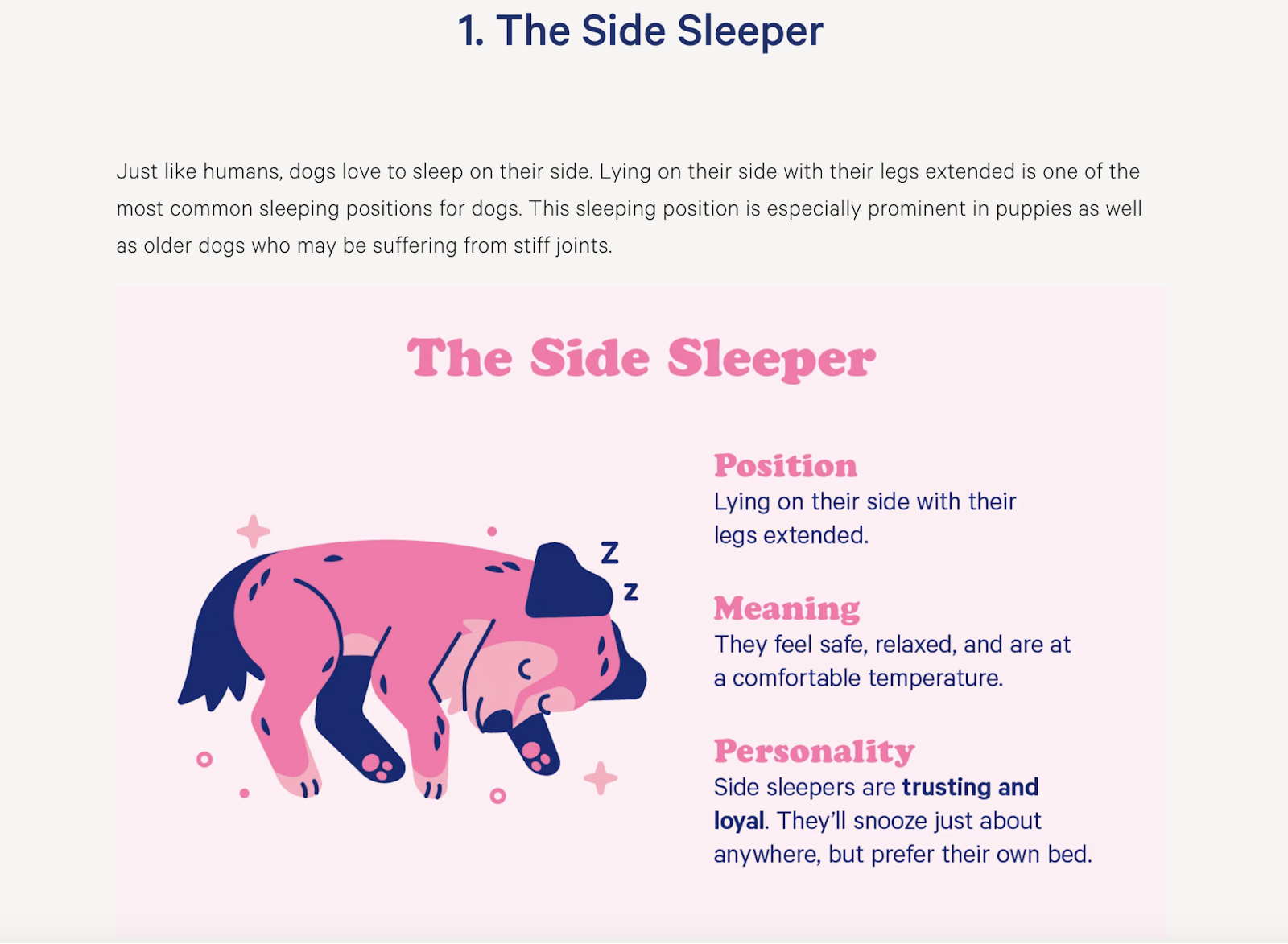 A customized  illustration of a broadside  sleeper successful  Casper's blog station  entitled “10 Dog Sleeping Positions + Their Adorable Meanings"