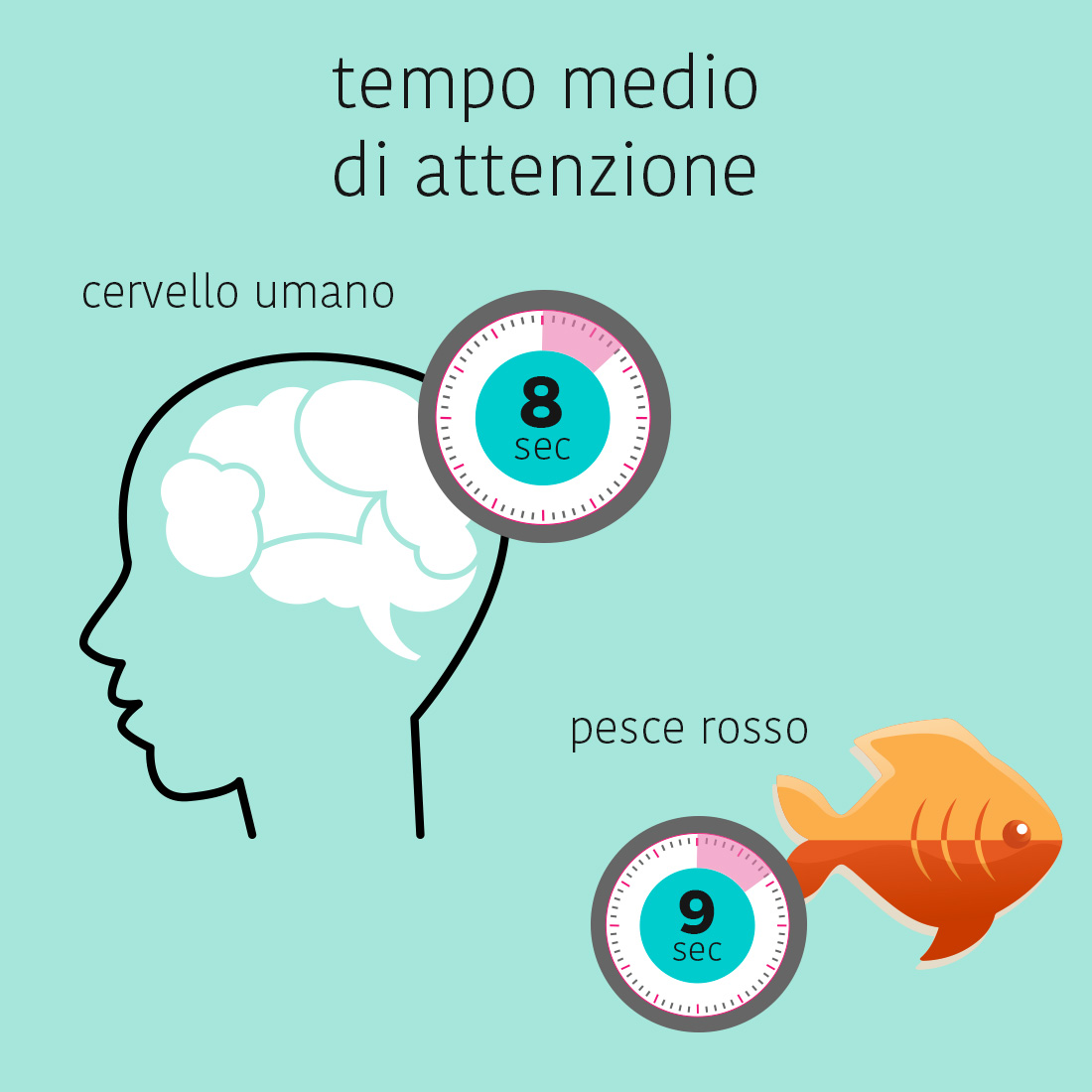 Tempo medio di attenzione cervello umano