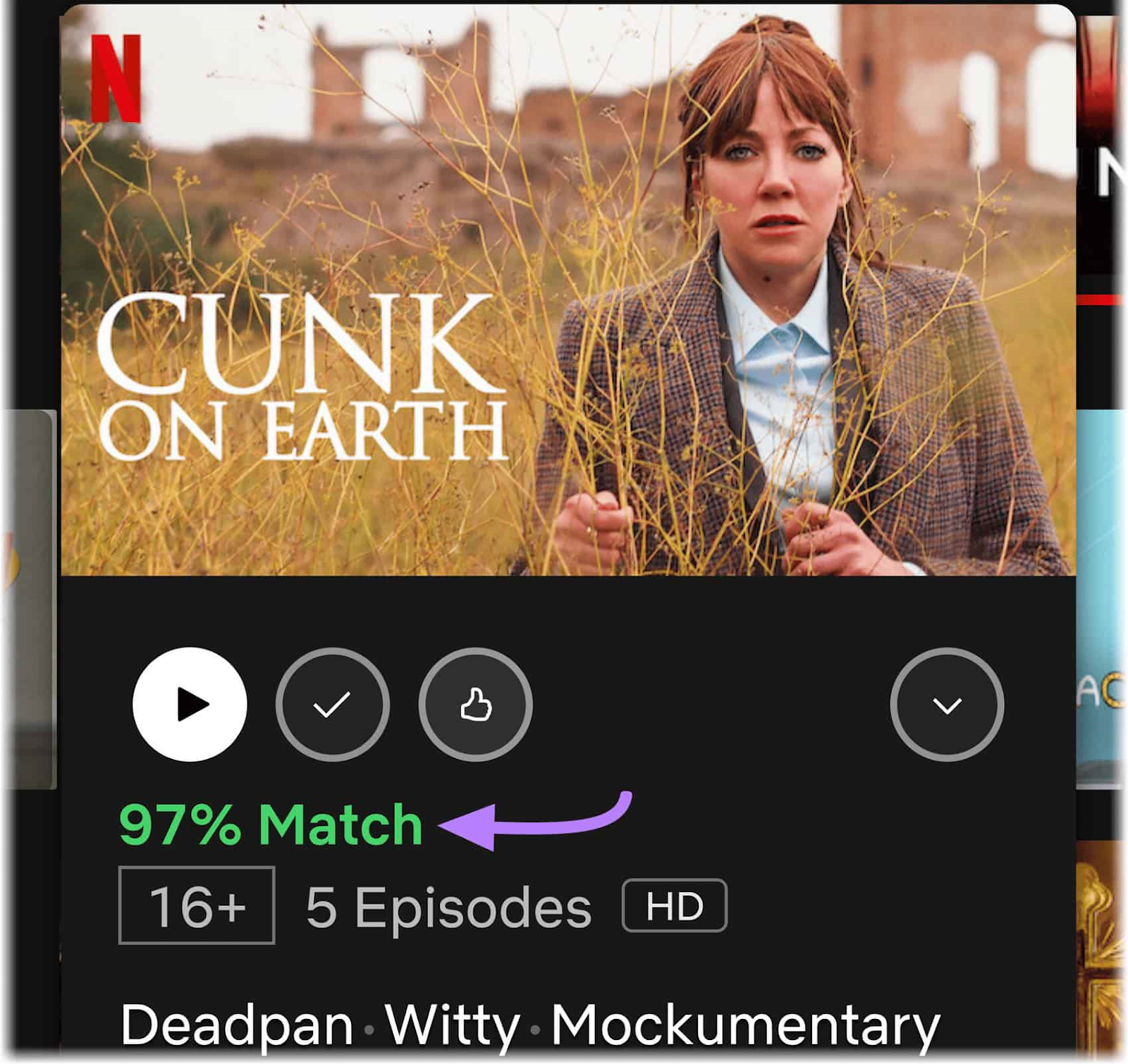 An example of Netflix's suggestion showing "97% match"