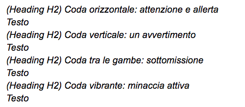 Come organizzare gli H2 con le parole chiave giuste