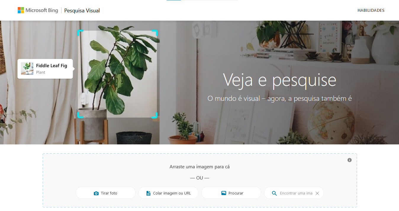 pesquisa visual do bing