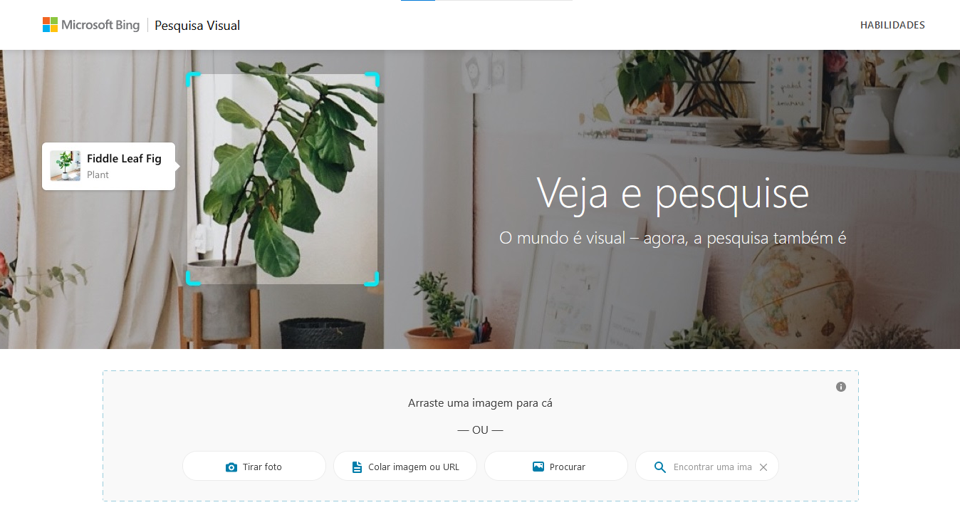 Os 10 principais motores de busca 16 pesquisa visual do bing
