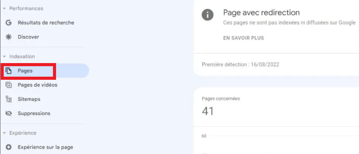 Google Search Console onglet Pages