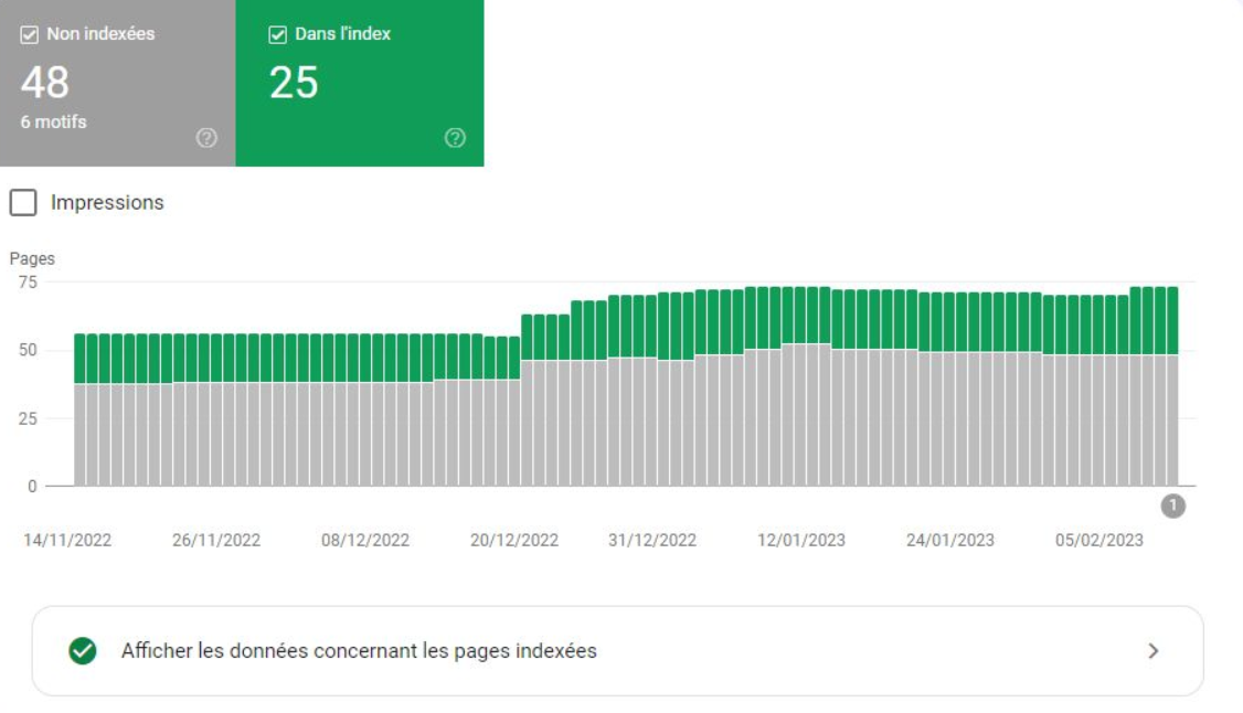 Exemples des pages indexées ou non dans Google Search Console