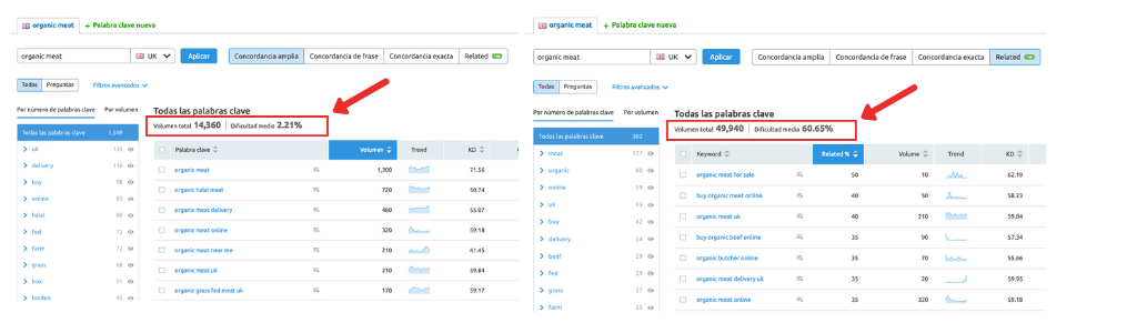 Caso de éxito en PPC - Keyword magic tool