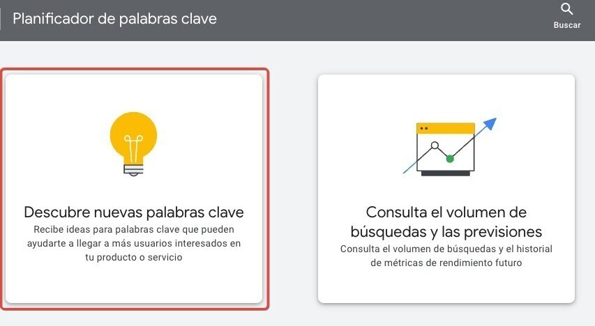 Descubre nuevas palabras clave