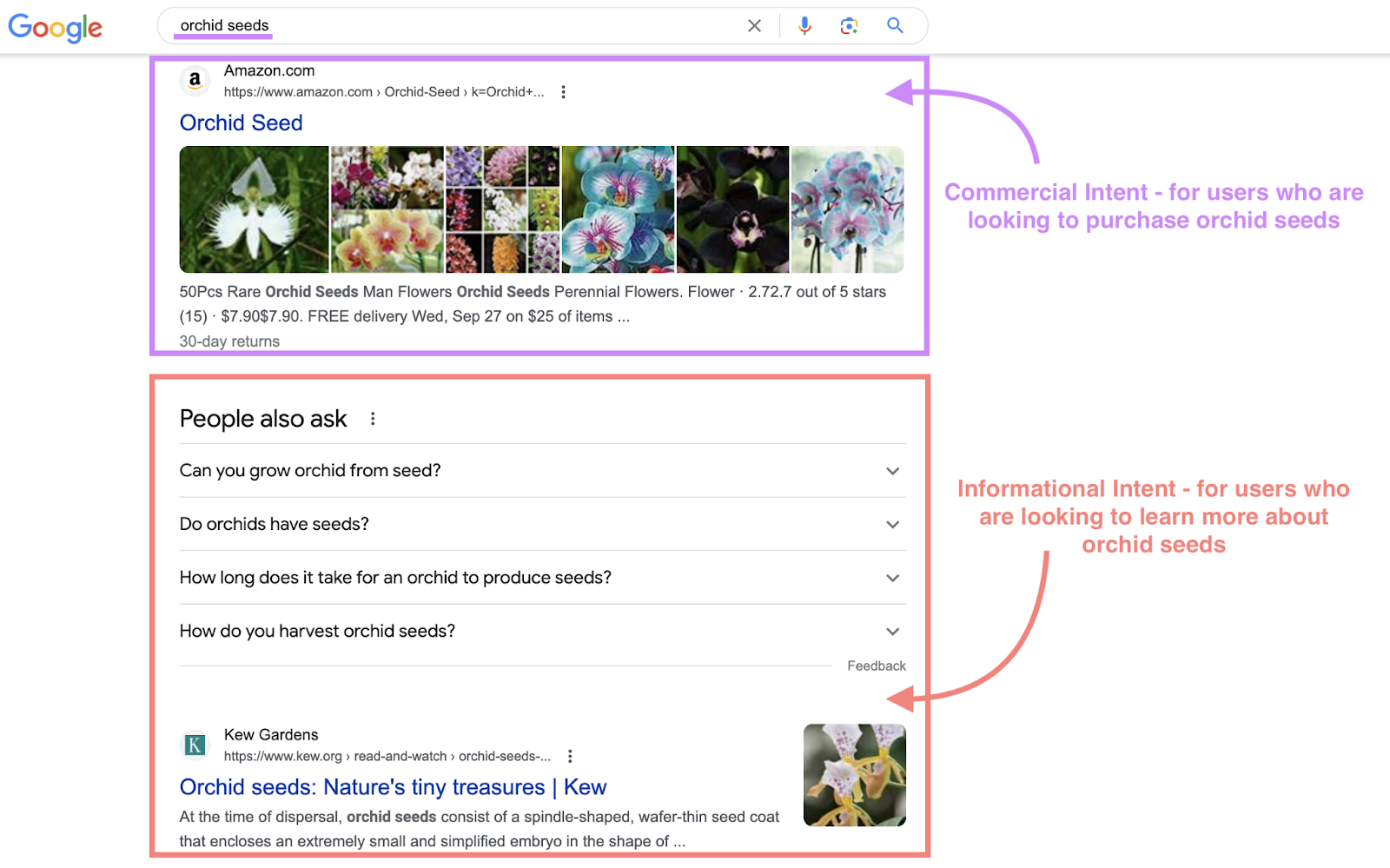 Google SERP pour la recherche « graines d'orchidées »