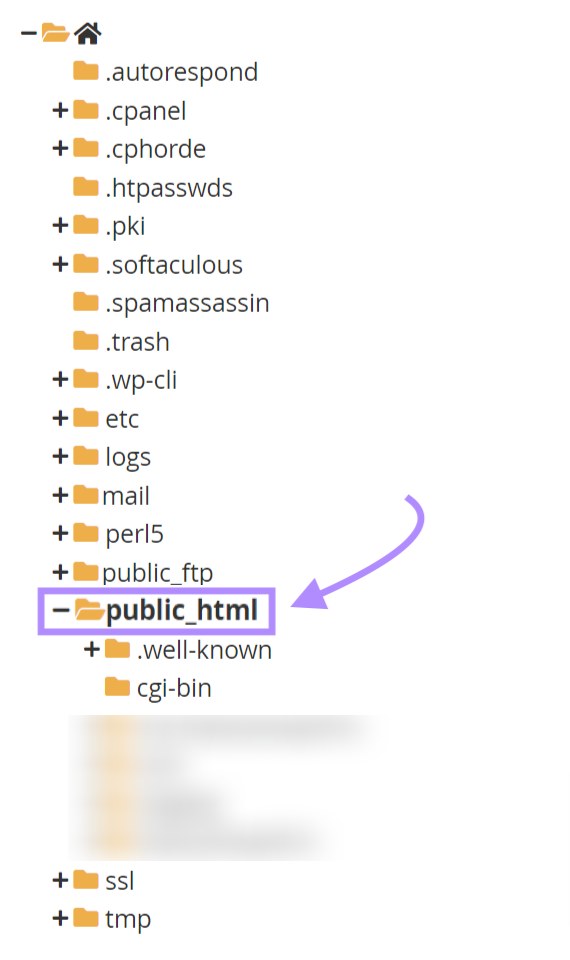 "public_html" root directory highlighted in Bluehost