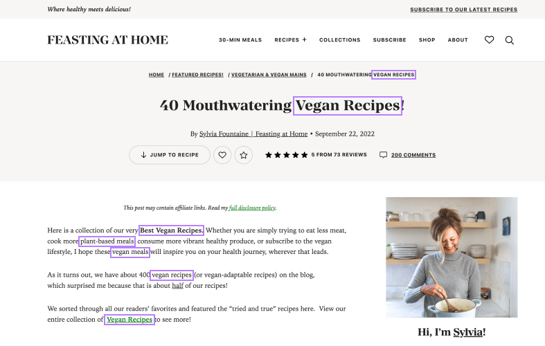 A conception  of "40 Mouthwatering Vegan Recipes" article, with secondary keywords highlighted successful  text