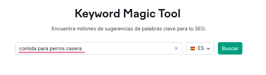 Página principal de Keyword Magic Tool.