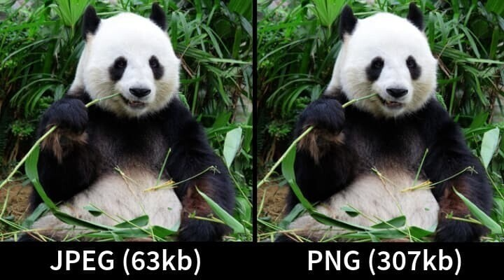 JPEG and PNG image examples show no discernable differences at first glance