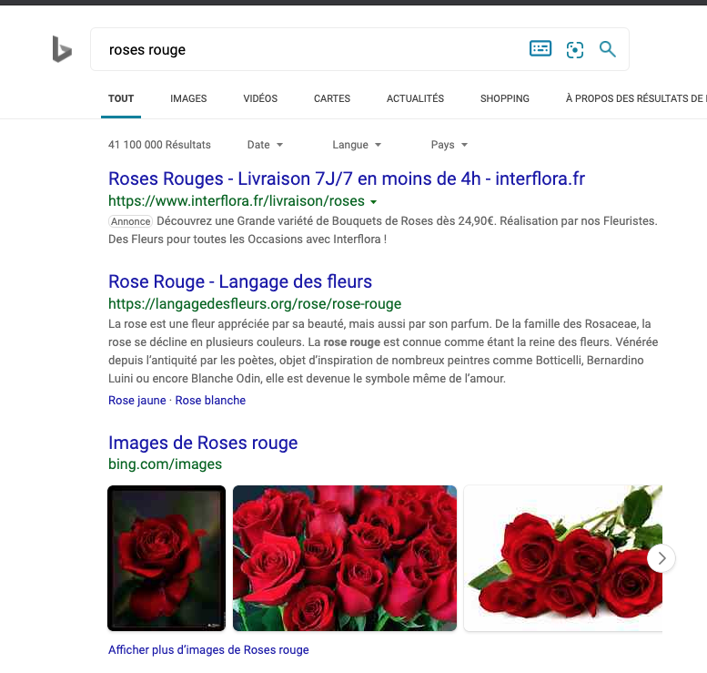 résultats images SERP BING