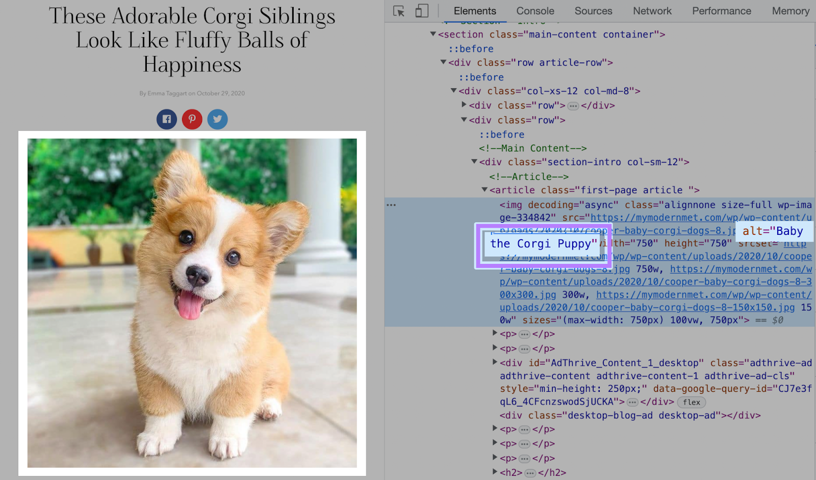 Corgi puppy image has alt text "Baby the Corgi Puppy"