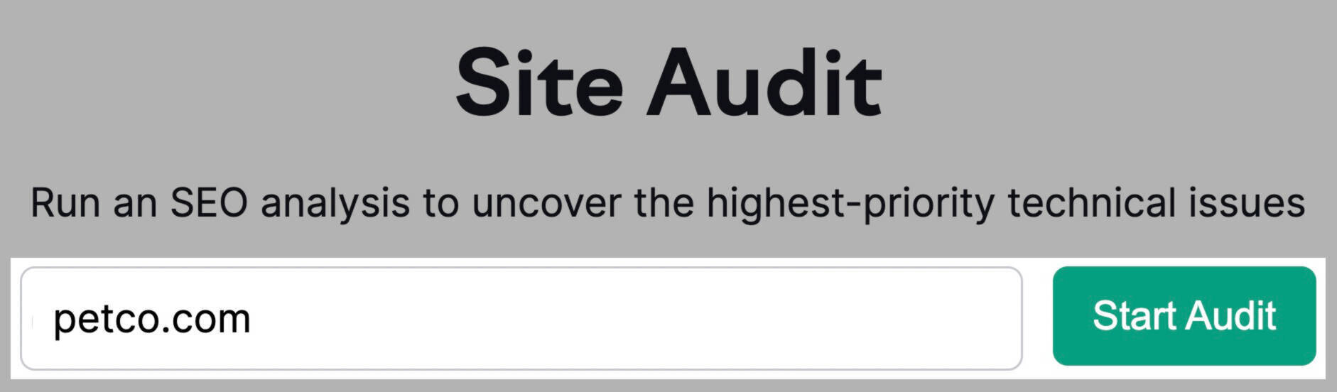 Site Audit