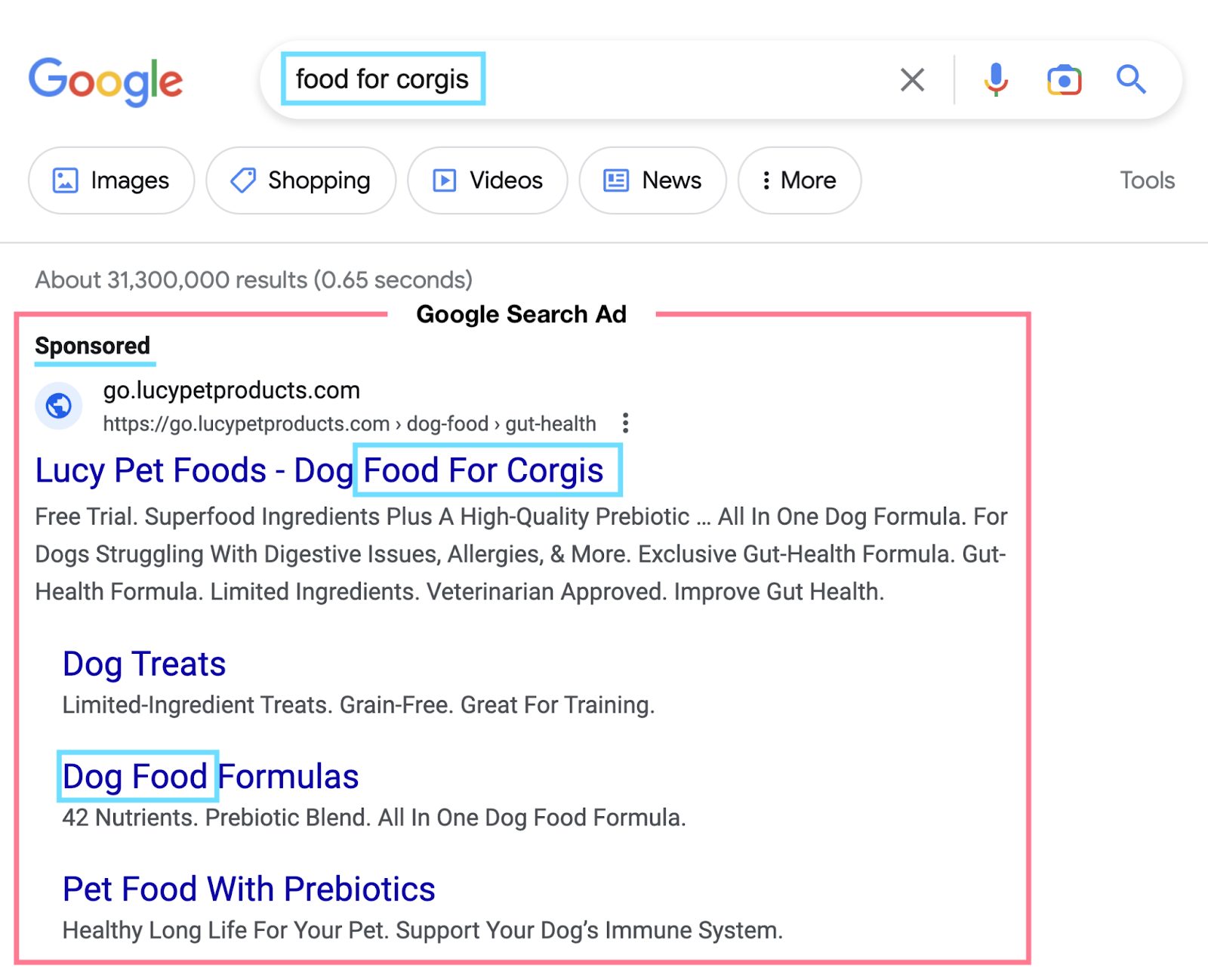 Google Search Ad in SERP