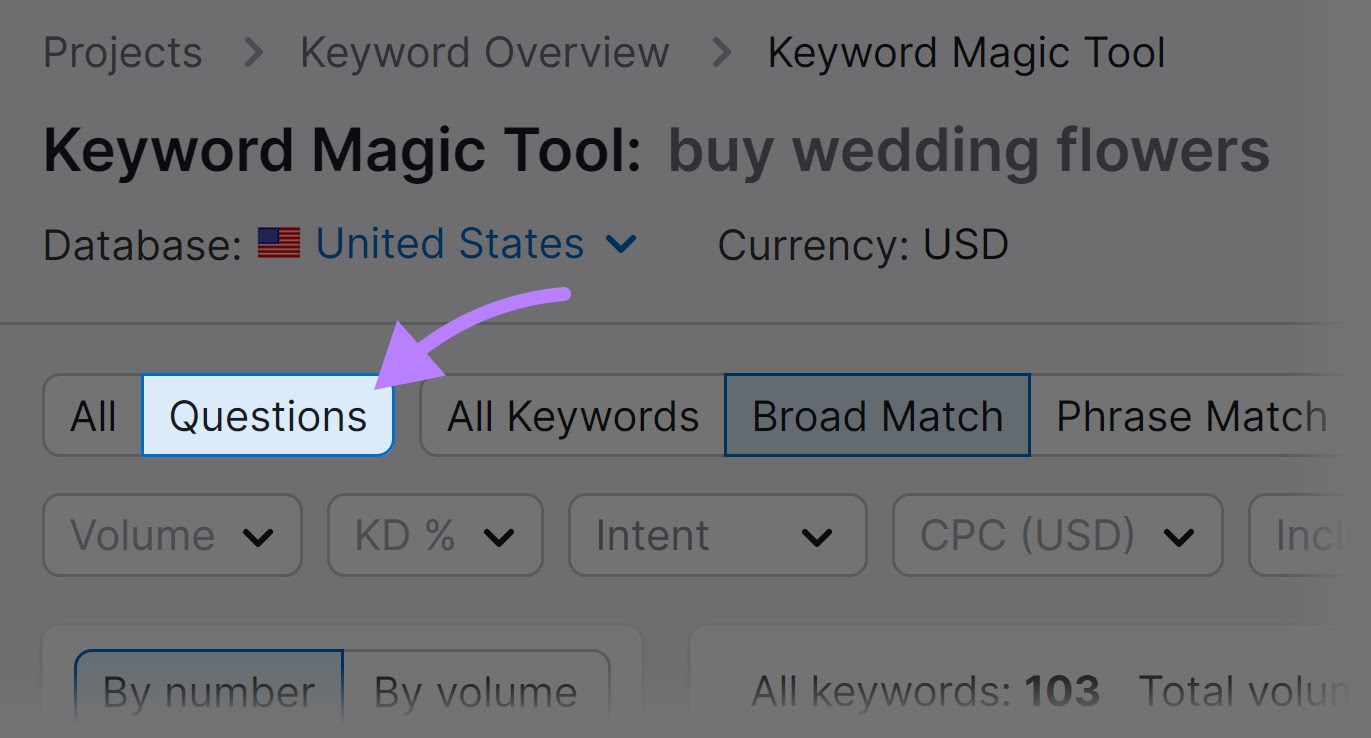 "Questions" filter selected from the Keyword Magic Tool upper menu