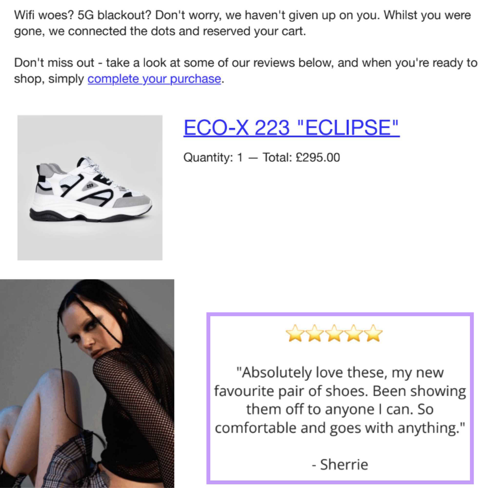 Abandoned cart email from footwear  retailer Trash Planet showing a brace  of shoes and a lawsuit    reappraisal  for the shoes.