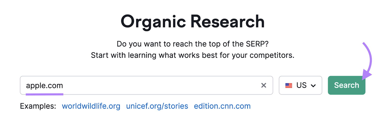 search for apple.com in organic research tool