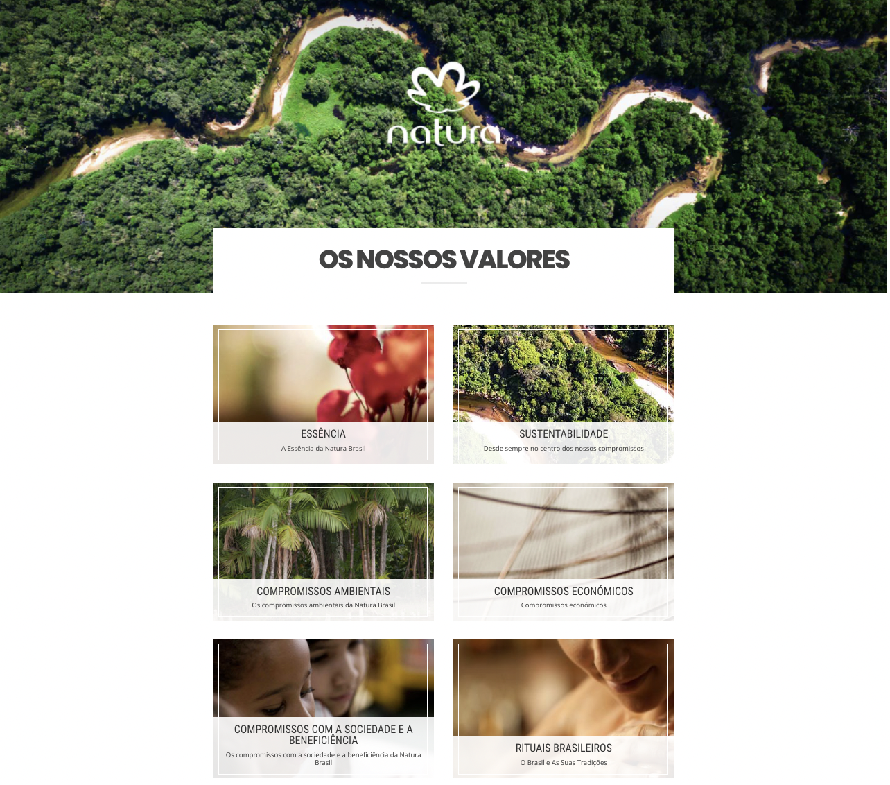 página de valores - Natura