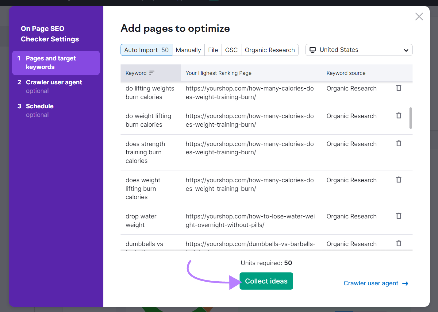 "Add pages to optimize" settings leafage   wrong   the On Page SEO Checker tool