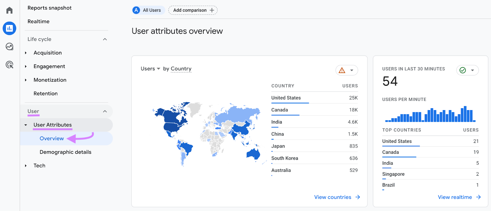 “User attributes overview” section in Google Analytics
