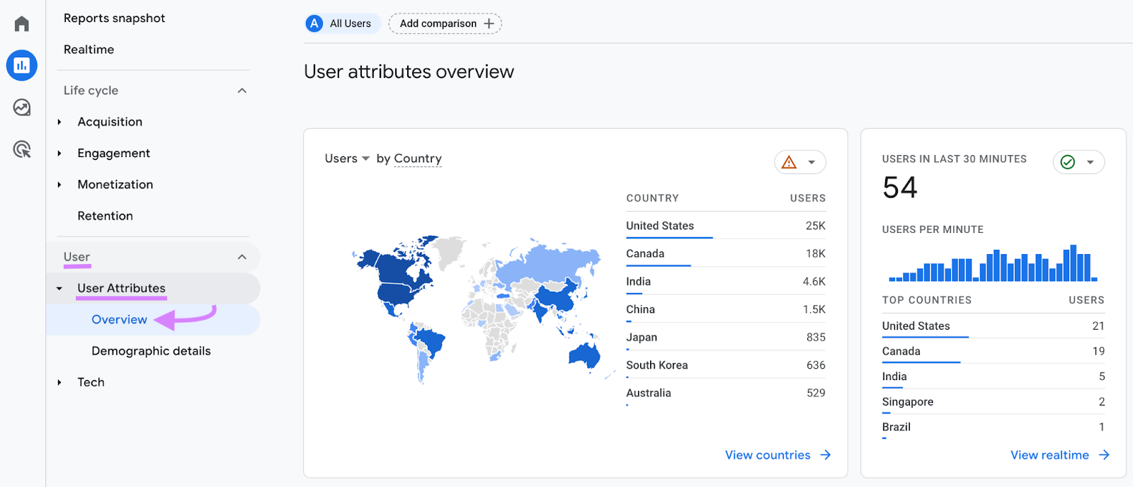 Sección "Resumen de atributos de usuario" en Google Analytics