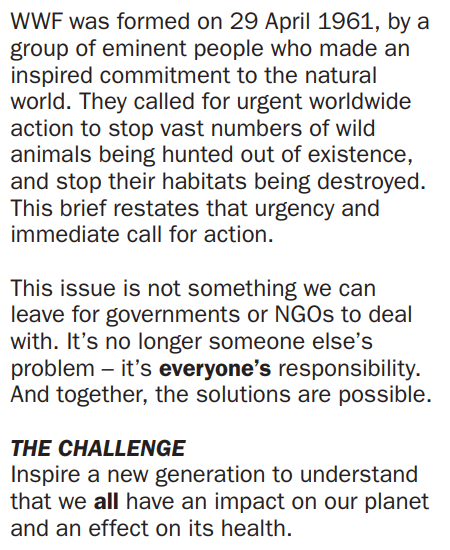 creative brief from WWF