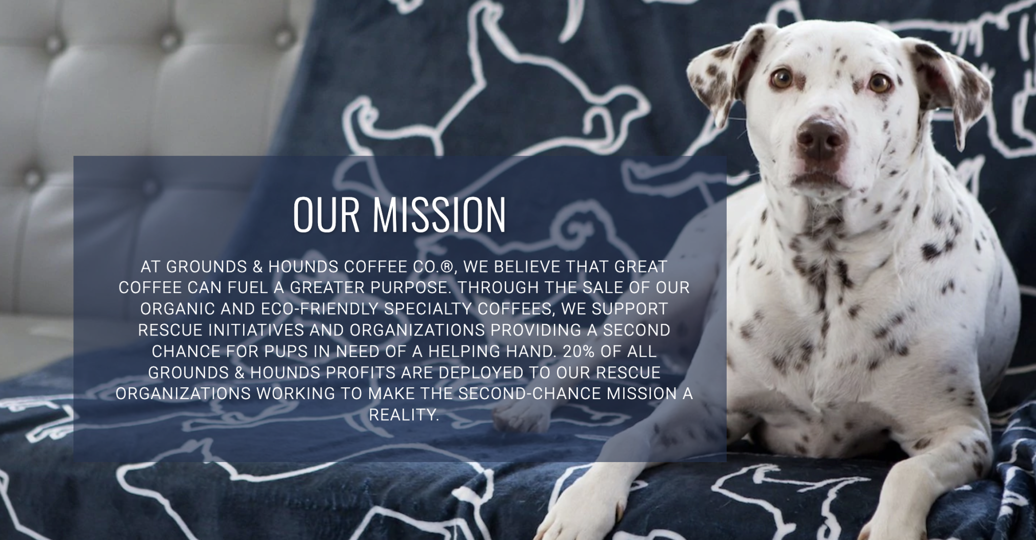 Grounds and Hounds mission statement