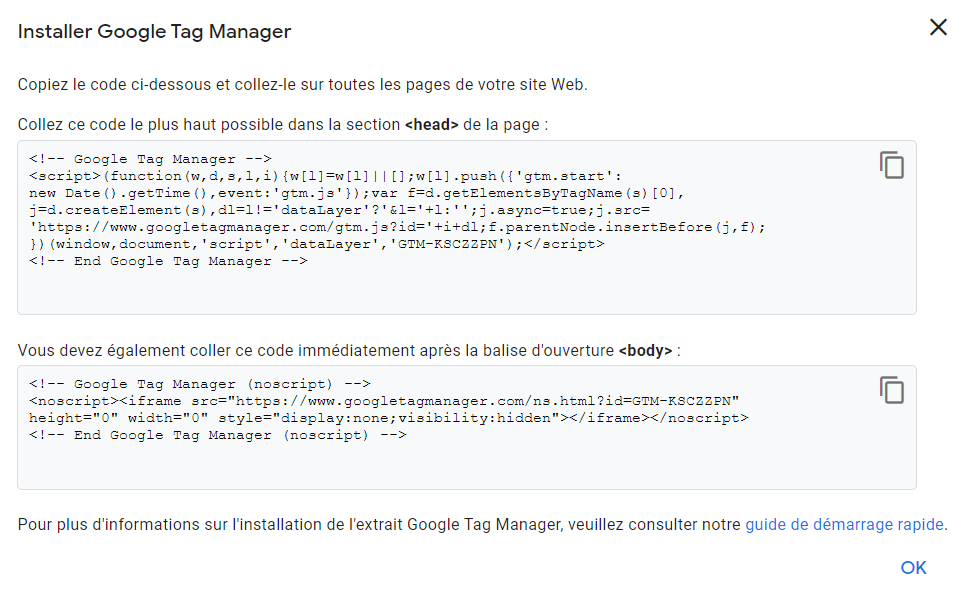 Google Tag Manager code