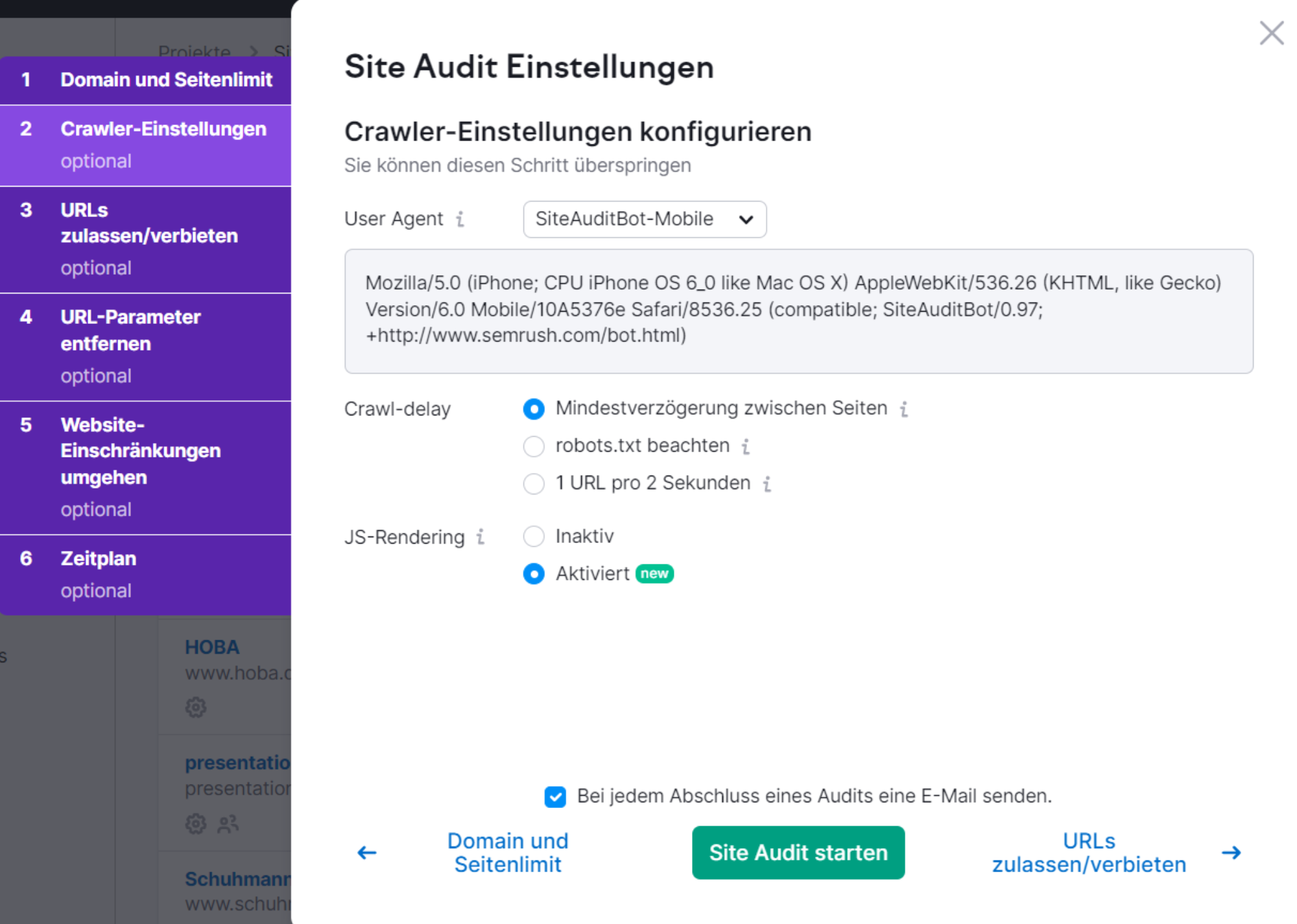 Site Audit Einstellungen